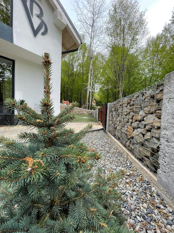 Vila Blanc Valiug Crivaia Exterior foto